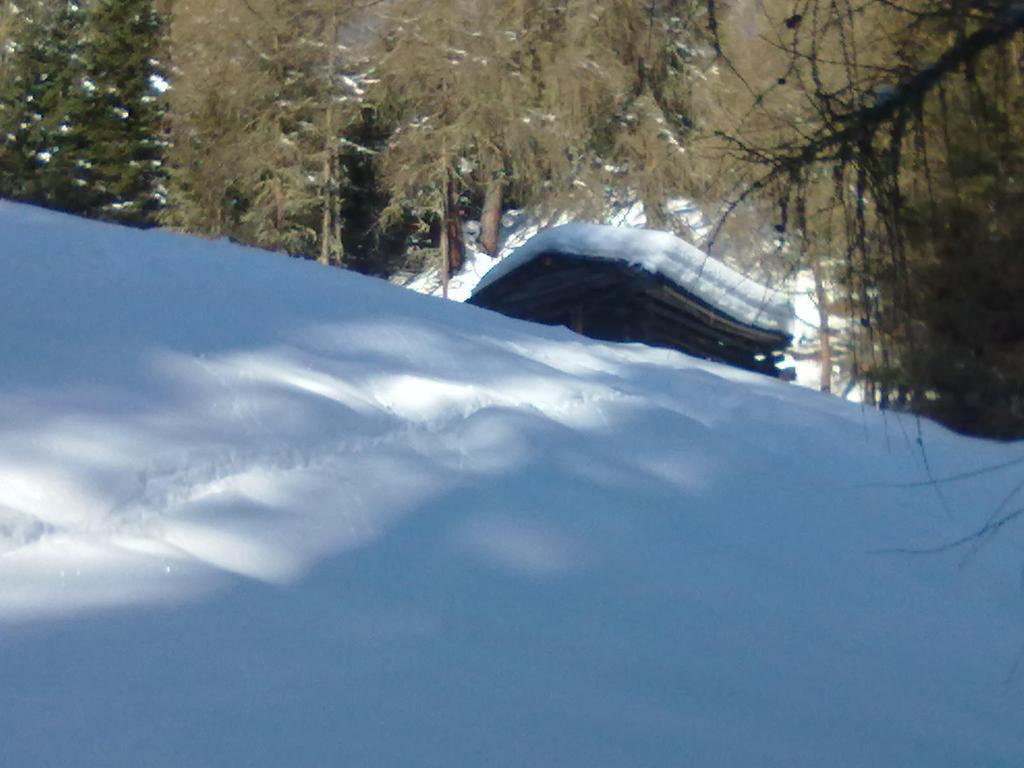Landhaus Auen Neustift im Stubaital Exterior photo
